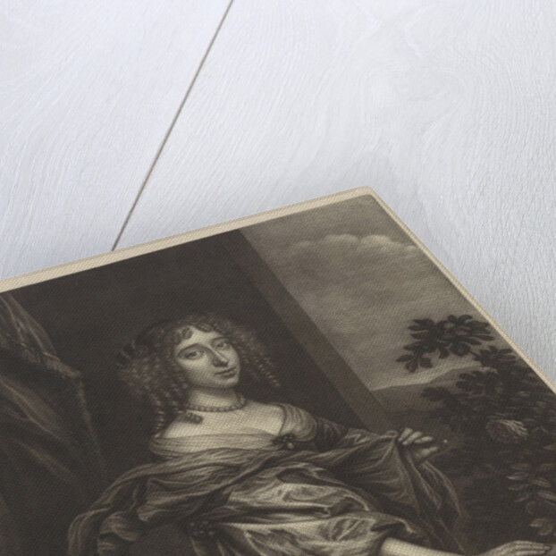 Portrait of a woman with a rose bush by Wallerant Vaillant