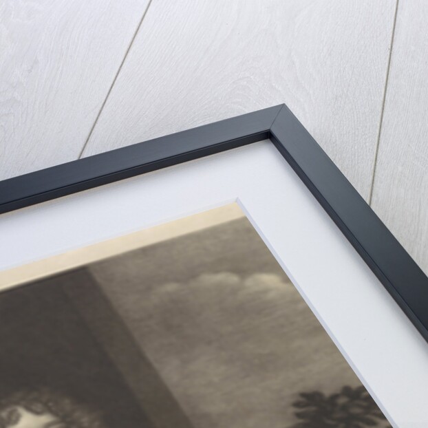 Portrait of a woman with a rose bush by Wallerant Vaillant