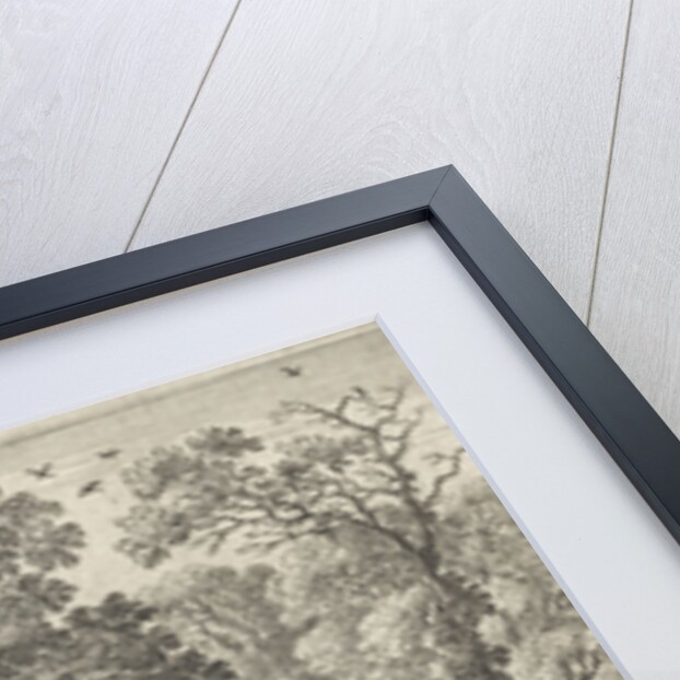 Tobias scares the fish by Charles Audran