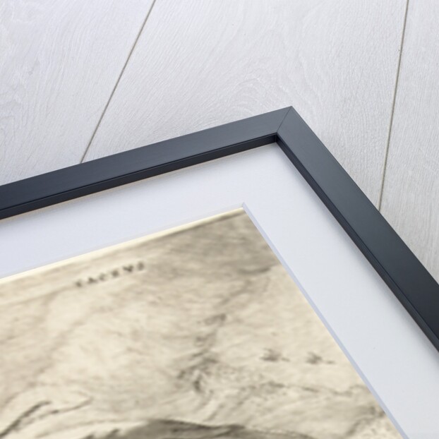 Tactvs by Petrus Overraat