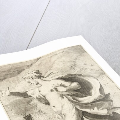 Tactvs by Petrus Overraat