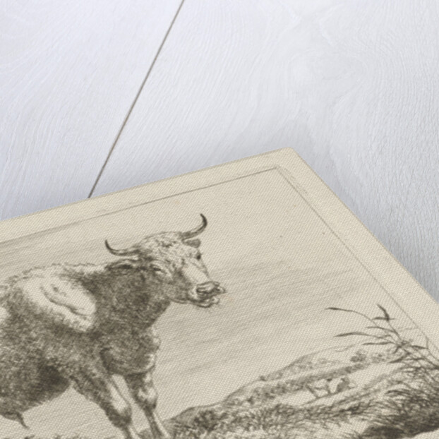 Standing bull by Pieter Gerardus van Os