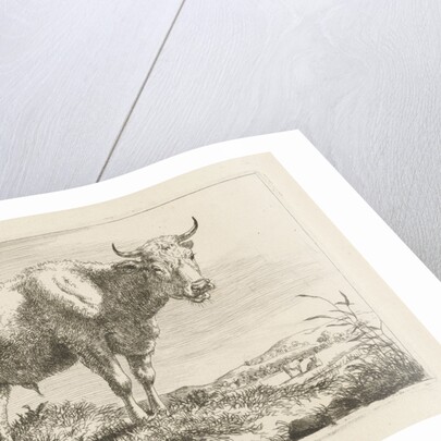 Standing bull by Pieter Gerardus van Os