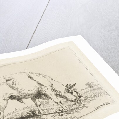 Grazing bull by Pieter Gerardus van Os