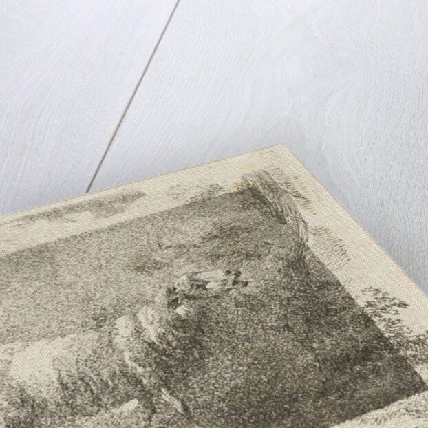 Single sheep by Frédéric Théodore Faber