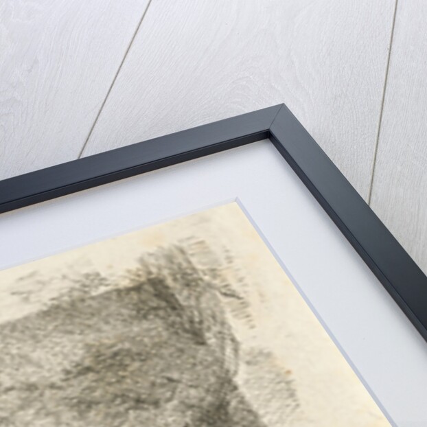 Single sheep by Frédéric Théodore Faber