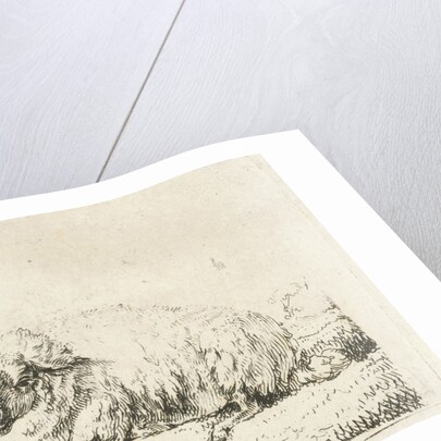 Lying sheep with thick fur by Frédéric Théodore Faber