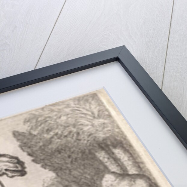 Camels by Herman van Swanevelt