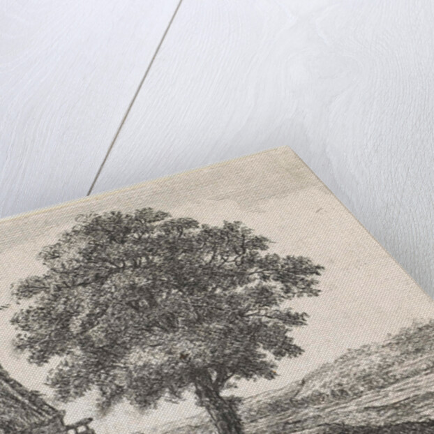 Big lime tree for an inn by Anthonie Waterloo