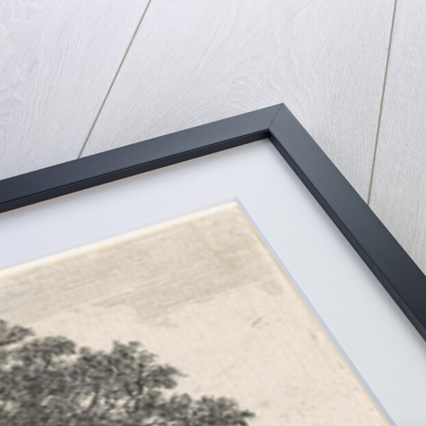 Big lime tree for an inn by Anthonie Waterloo