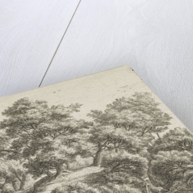 Falconer and hunter in a forest by Anthonie Waterloo