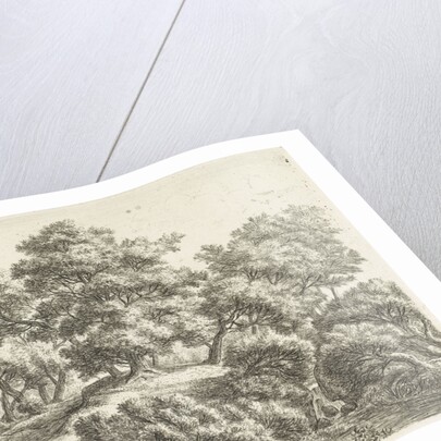 Falconer and hunter in a forest by Anthonie Waterloo