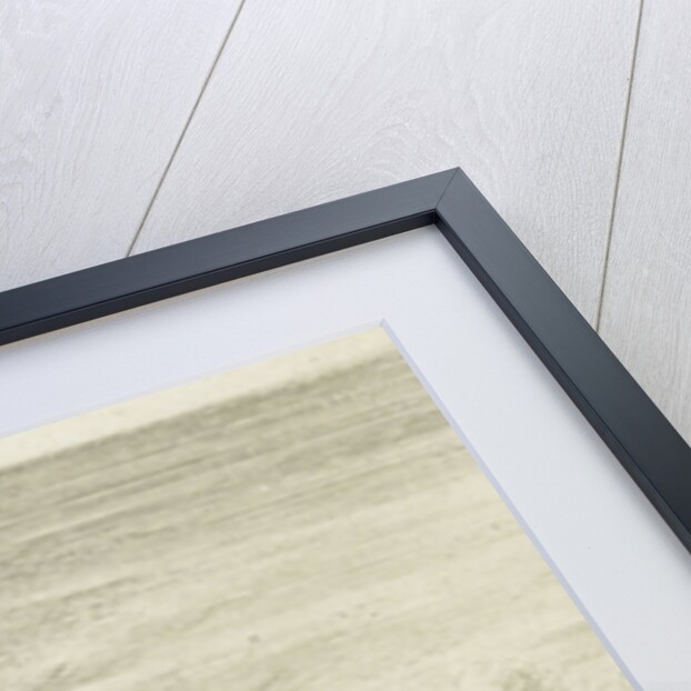 View of Rhenen by Anthonie Waterloo