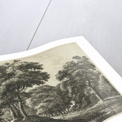 Marskramer with a water feature by Anthonie Waterloo