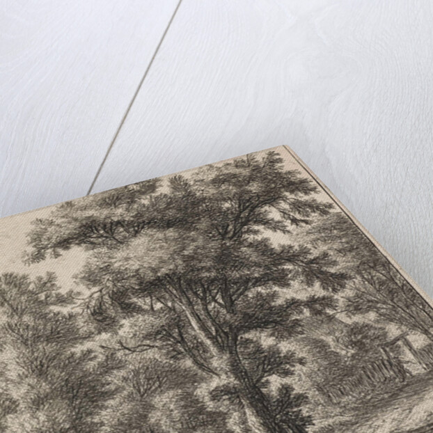 Entrance of the forest, Anthonie Waterloo by Josua & Reinier II Ottens