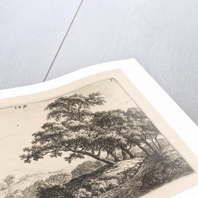 Flock of sheep in a river by Anthonie Waterloo