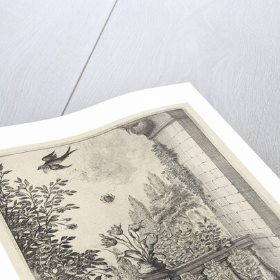 Fable of the spider and the swallow by John Ogilby