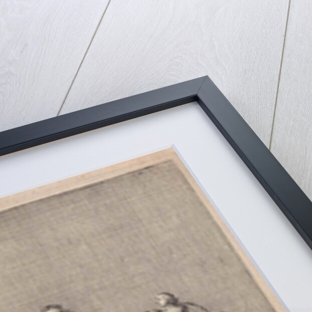 Fable of the lion, the ranger and his daughter by John Ogilby