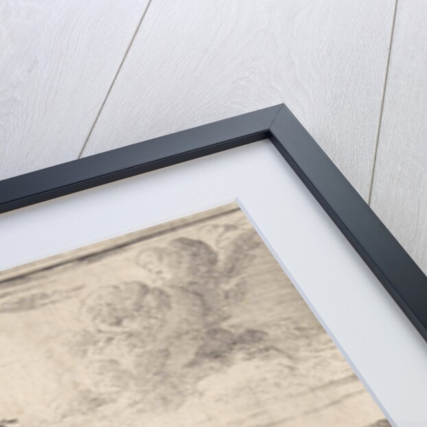 Fable of the horse and the mule by John Ogilby