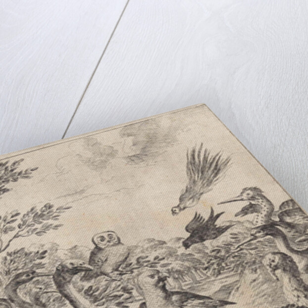 Parliament of birds by John Ogilby