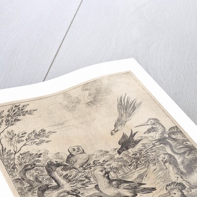 Parliament of birds by John Ogilby