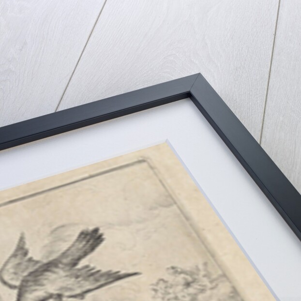 Fable of the doves and the hawks by John Ogilby