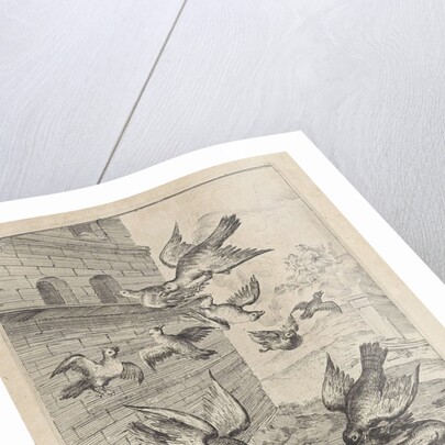 Fable of the doves and the hawks by John Ogilby