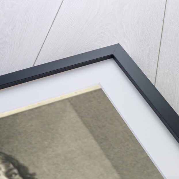 Portrait of Peter van Staveren by Willem van Mieris