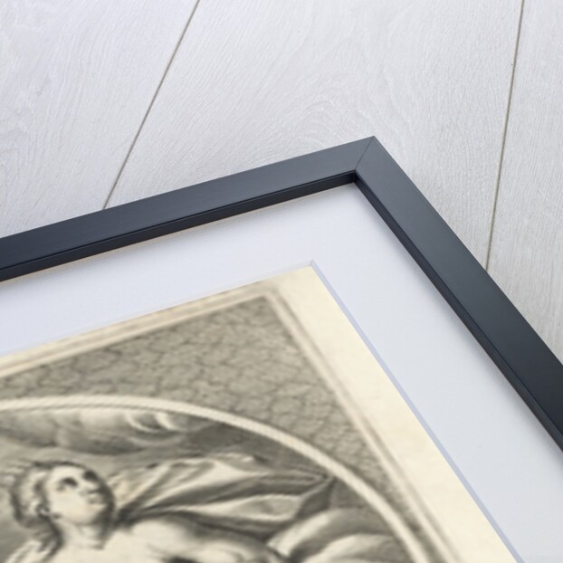 Female personifcatie element of air as the goddess Juno with peacock by Cornelis van Dalen II