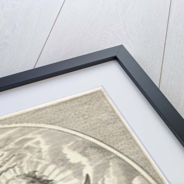 Element fire as a child with lightning bolts on back of eagle by Abraham van Diepenbeeck