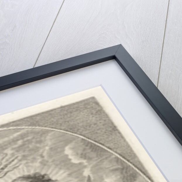 Element fire as a child with lightning bolts on back of eagle by Adriaen Collaert