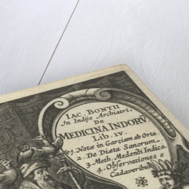 Physician with staff wrapped by snake and pomegranate, birds and dragon by Franciscus Hackius