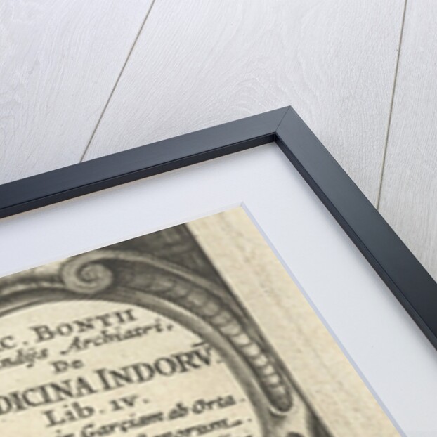 Physician with staff wrapped by snake and pomegranate, birds and dragon by Franciscus Hackius