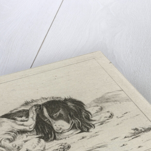 Sleeping dog by Hendrik Godart de Marée