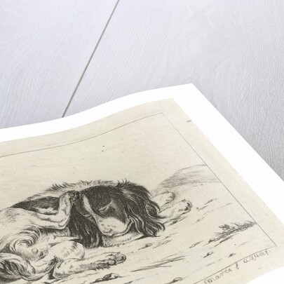 Sleeping dog by Hendrik Godart de Marée