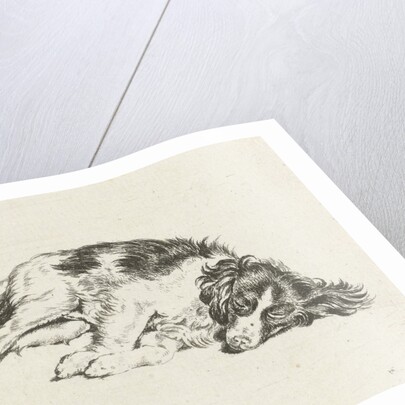 Sleeping dog by Hendrik Godart de Marée