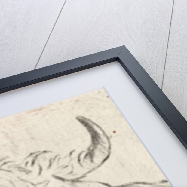 Ox head, left by Pieter Janson