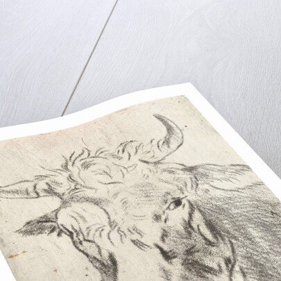 Ox head, left by Pieter Janson