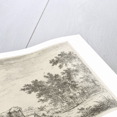 Three cows in pasture by John Janson