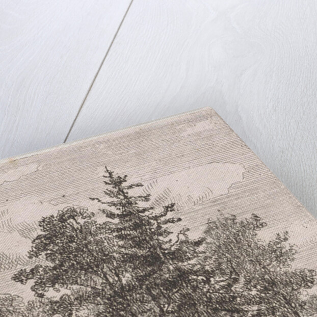 Fishing for a group of trees by Johannes Pieter van Wisselingh