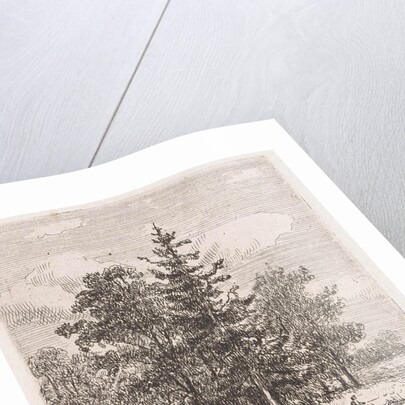 Fishing for a group of trees by Johannes Pieter van Wisselingh