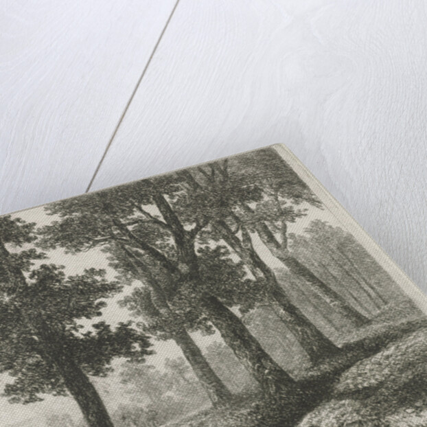 View of a forest by Hermanus Jan Hendrik van Rijkelijkhuysen