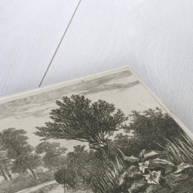 Ducks in a ditch by Hermanus Jan Hendrik van Rijkelijkhuysen