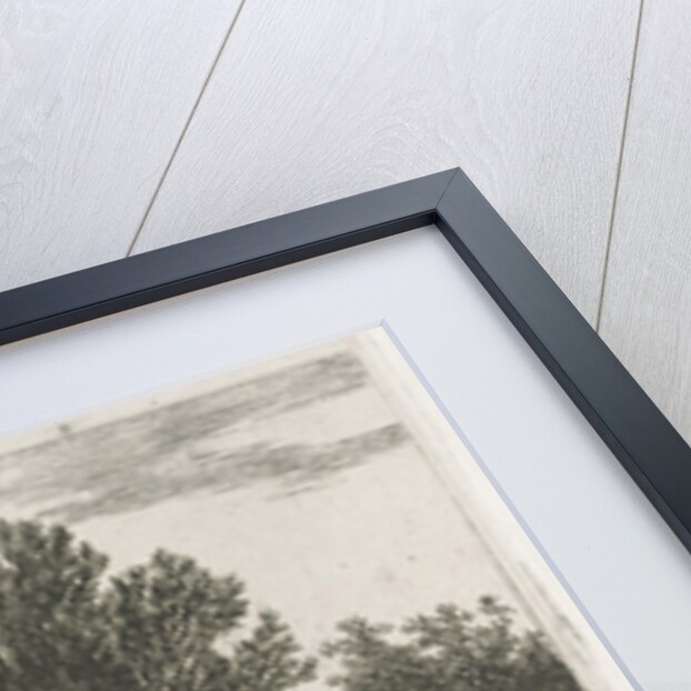 Ducks in a ditch by Hermanus Jan Hendrik van Rijkelijkhuysen