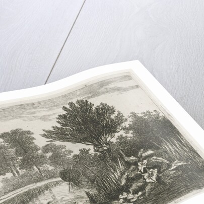 Ducks in a ditch by Hermanus Jan Hendrik van Rijkelijkhuysen