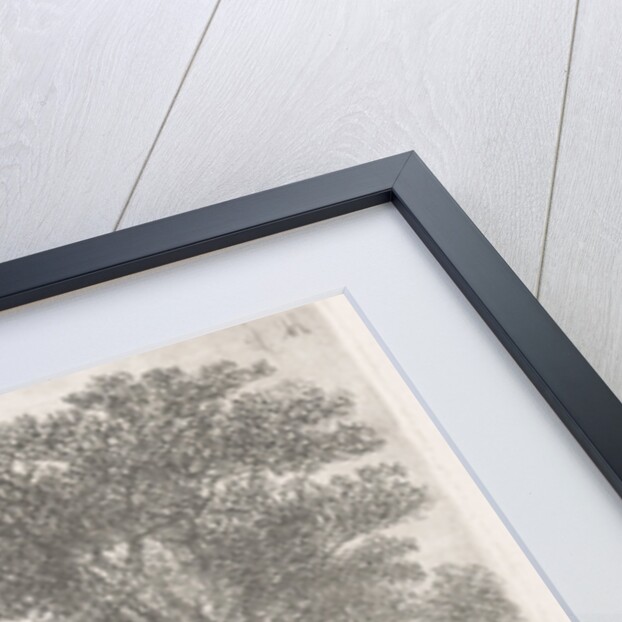 Four trees in a fen by Hermanus Jan Hendrik van Rijkelijkhuysen