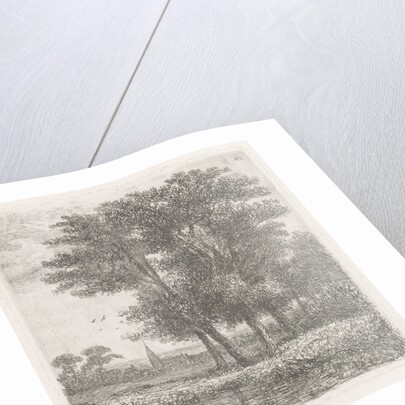 Four trees in a fen by Hermanus Jan Hendrik van Rijkelijkhuysen