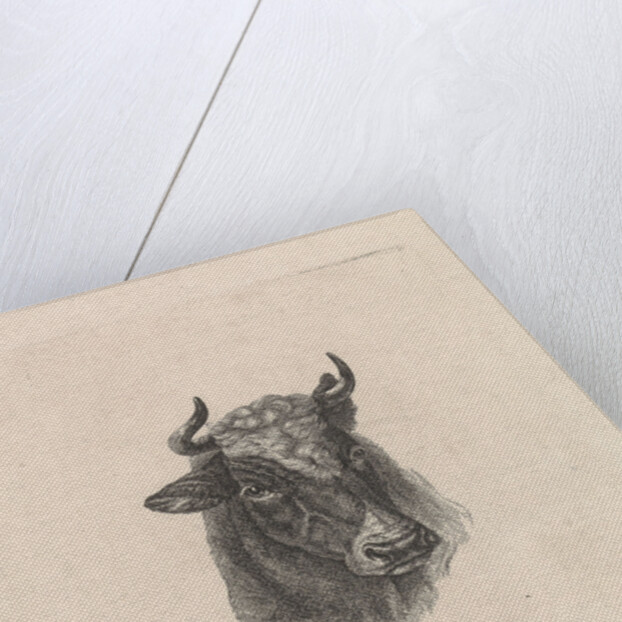 Boy with cow by Frederik Lodewijk Huygens