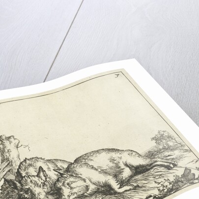 Two pigs lying near a fence by Paulus Potter