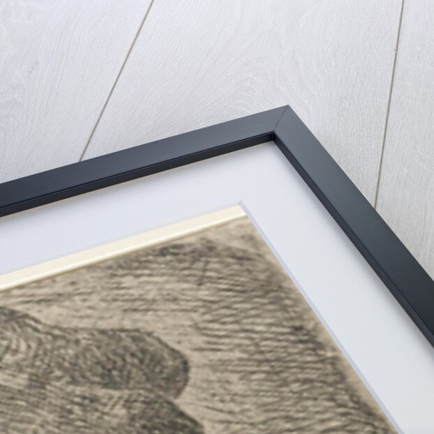 Bust of a man with a Polish hat by Rembrandt Harmensz. van Rijn